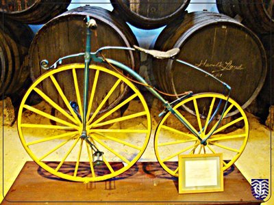 Bicicleta en una bodega de Jerez